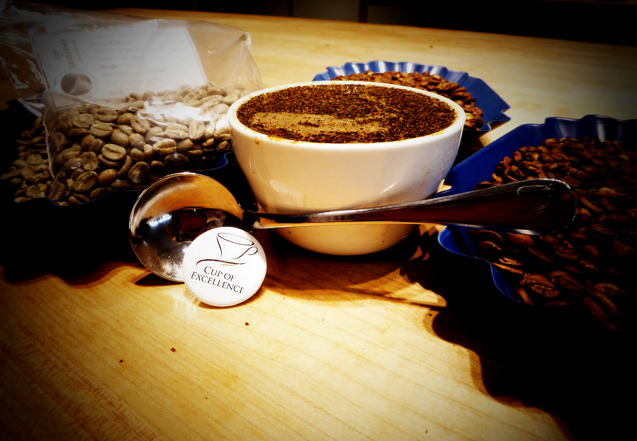  Ace cup of excellence cuppping 